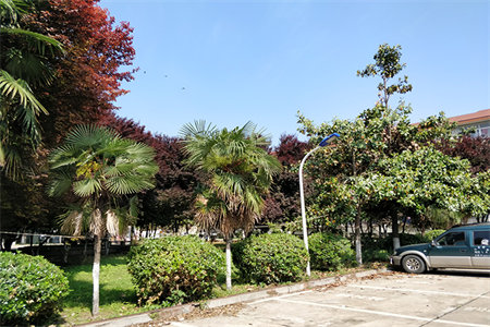 pvc吊顶怎么拆开